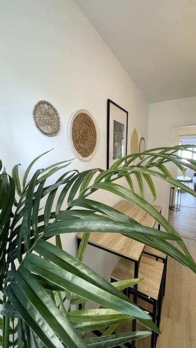 Apartamento L'Instant Present - Calme & Elegant Proche Gare Roanne Exterior foto